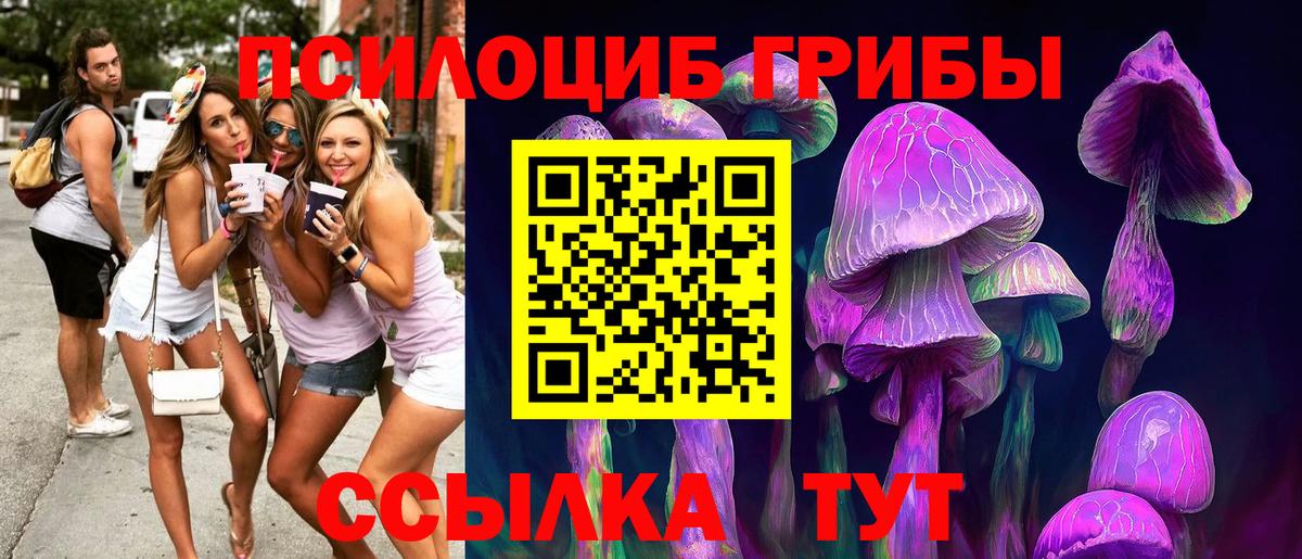 Псилоцибиновые грибы прущие грибы  дарнет шоп  Вход с VPN  Минеральные Воды  Галлюциногенные грибы мицелий 